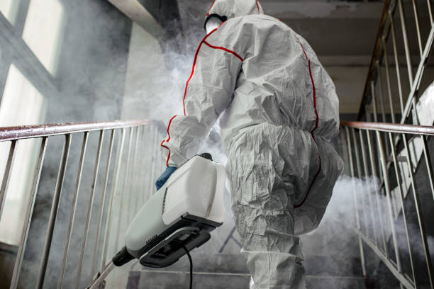 Why You Should Choose Our Mold Remediation Services in Andrews, TX